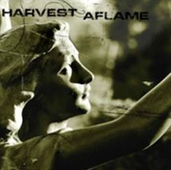 Harvest Aflame : The Quiet Longing